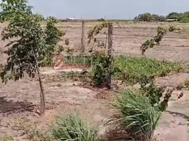 #507 - Sítio para Venda em Boa Vista - RR - 2
