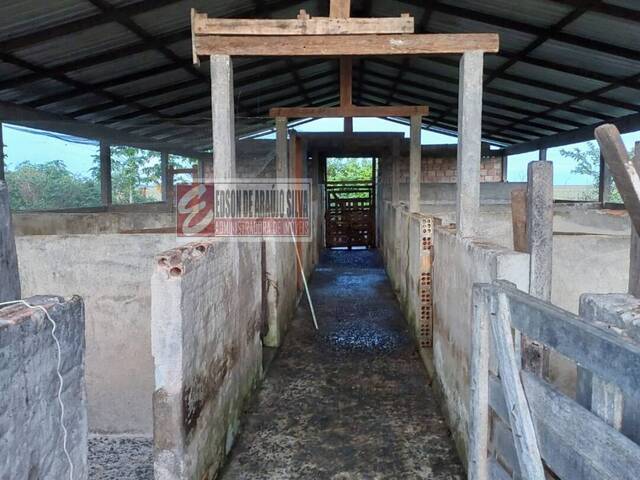 #507 - Sítio para Venda em Boa Vista - RR - 1