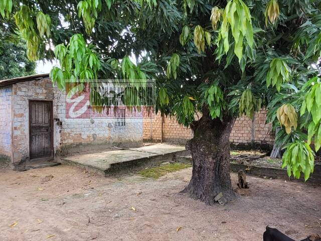 #533 - Terreno para Venda em Boa Vista - RR - 2